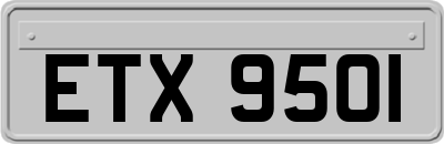 ETX9501