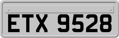 ETX9528
