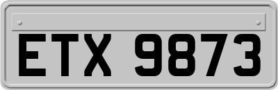 ETX9873