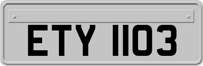 ETY1103