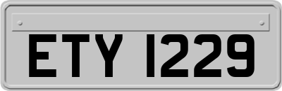 ETY1229