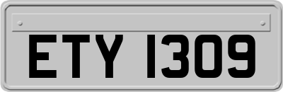 ETY1309