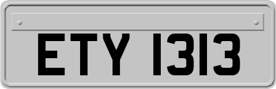 ETY1313