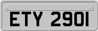 ETY2901