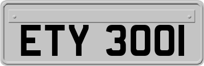 ETY3001