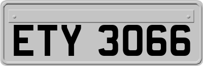 ETY3066