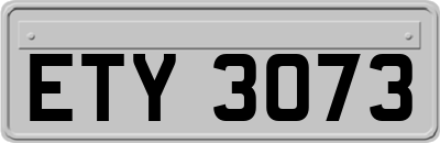 ETY3073