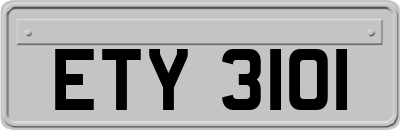 ETY3101