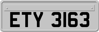 ETY3163