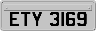 ETY3169
