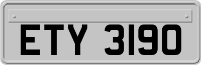 ETY3190