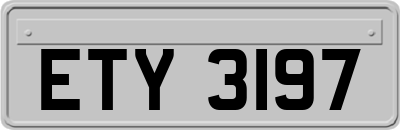 ETY3197