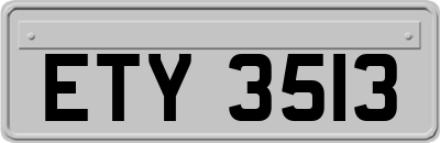 ETY3513