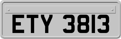ETY3813