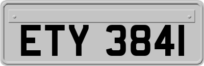 ETY3841