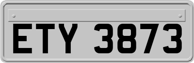 ETY3873