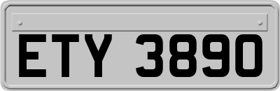 ETY3890