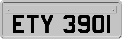 ETY3901