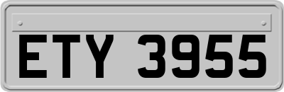 ETY3955