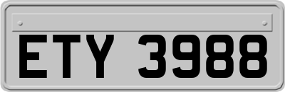 ETY3988