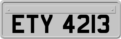 ETY4213