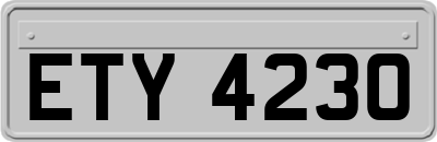 ETY4230