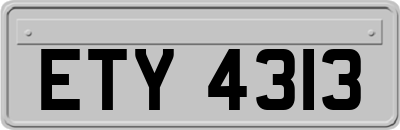 ETY4313