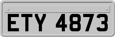 ETY4873