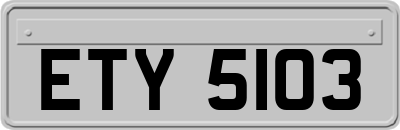 ETY5103