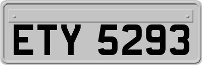 ETY5293