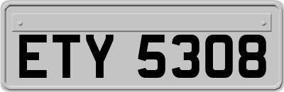 ETY5308