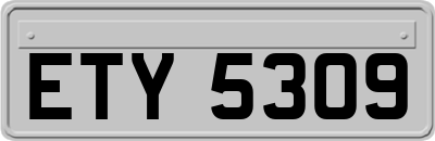 ETY5309