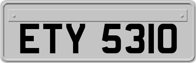 ETY5310