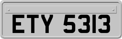ETY5313