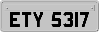 ETY5317