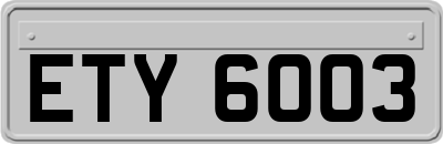 ETY6003