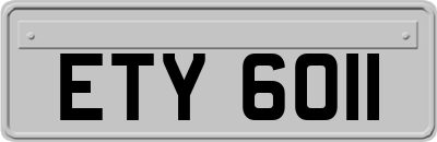 ETY6011