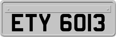ETY6013