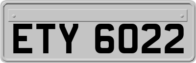 ETY6022