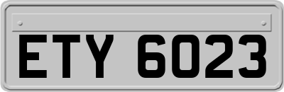 ETY6023