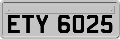 ETY6025