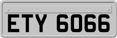 ETY6066