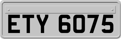 ETY6075