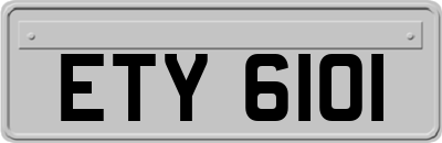 ETY6101