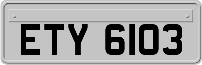 ETY6103