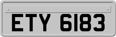 ETY6183