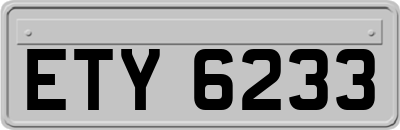 ETY6233