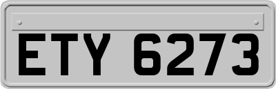 ETY6273