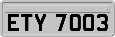 ETY7003