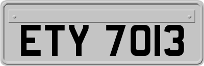 ETY7013